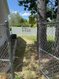Photo 6 for 641 E Greystone Way