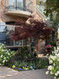 Photo 5 for 1146 E Woodbriar Cir