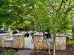 Photo 4 for 1146 E Woodbriar Cir