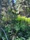 Photo 5 for 9162 E Laurel Ln