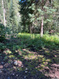 Photo 3 for 9162 E Laurel Ln