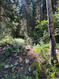 Photo 6 for 9162 E Laurel Ln