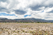 Photo 6 for 675 E 14250 N