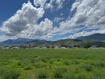 Photo 2 for 3046 W Timp Vista Cir
