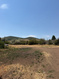 Photo 3 for 785 Hardscrabble Rd