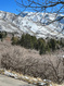 Photo 5 for 2662 E Bonneville Ter