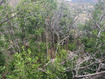Photo 3 for 10885 N Warm Springs Loop