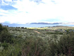 Photo 3 for 2454 Serviceberry Dr
