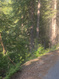 Photo 5 for 11453 E Church Rd