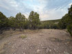 Photo 2 for 14542 S Shaggy Mountain Rd