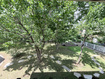 Photo 6 for 6246 S Lorreen Dr