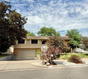 Photo 1 for 6246 S Lorreen Dr