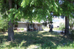Photo 1 for 268 W North St