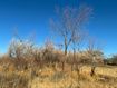 Photo 5 for 9813 E 4000 S