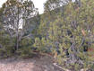 Photo 6 for 8450 S 34790 W