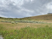 Photo 6 for 2901 E 2600 N