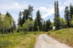 Photo 4 for 2051 S Pine Meadow Dr