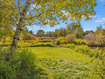 Photo 6 for 5958  Bull Moose Rd