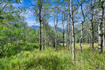 Photo 2 for 5426 E Colter