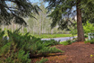 Photo 2 for 401 N Silver King Dr #53