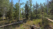 Photo 4 for 5085  Alpine Rd