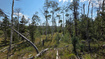 Photo 1 for 5085  Alpine Rd