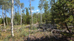Photo 6 for 5085  Alpine Rd