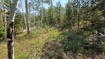 Photo 2 for 5085  Alpine Rd