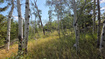 Photo 3 for 5085  Alpine Rd
