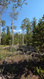 Photo 5 for 5085  Alpine Rd