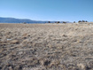 Photo 2 for 4000 E Racetrack Rd