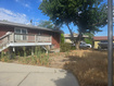 Photo 6 for 247 E Nicoletti Dr