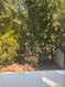 Photo 4 for 914 E 39th  #137