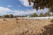 Photo 3 for 1042 W 425 S