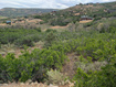 Photo 3 for 1828 S Beaver Bench Rd