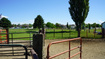 Photo 3 for 6089 W 5050 S