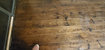 Photo 2 for 6935 N 2200 W #5d