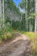 Photo 6 for 5488 N Pinecone Rd #215