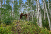 Photo 4 for 5485 N Pinecone Rd
