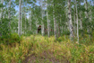 Photo 2 for 5485 N Pinecone Rd