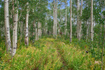 Photo 5 for 5485 N Pinecone Rd