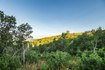 Photo 5 for 10091 N Himmel Ct