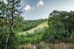 Photo 6 for 10091 N Himmel Ct