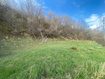 Photo 1 for 108 Whittemore Dr