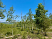Photo 1 for 10775 E Tanglewood Dr