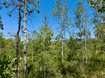 Photo 5 for 10775 E Tanglewood Dr