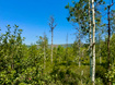 Photo 6 for 10775 E Tanglewood Dr