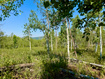 Photo 2 for 10775 E Tanglewood Dr