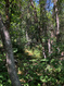 Photo 4 for 94 N Whittemore Dr