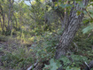 Photo 1 for 94 N Whittemore Dr